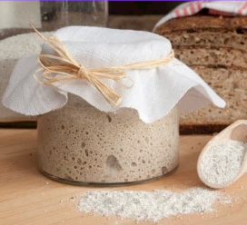 Sourdough Starter