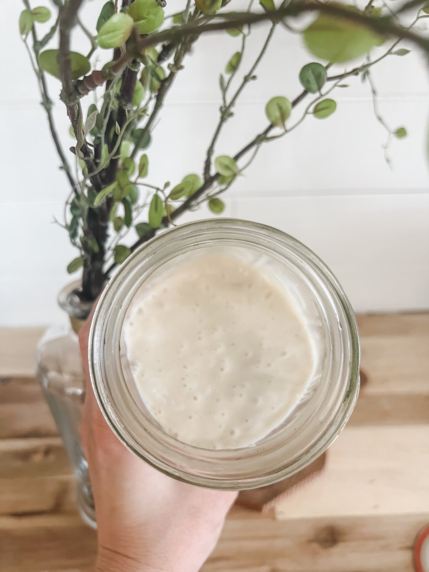 Beginners Sourdough Kit With Heirloom Sourdough Starter